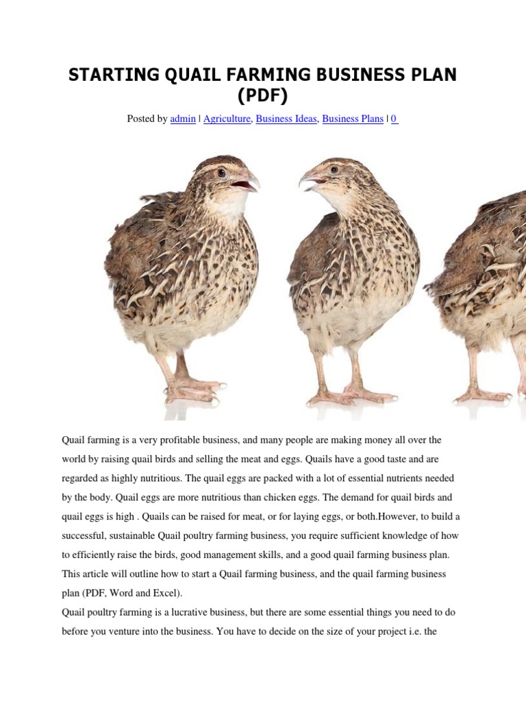 Quail production and management image