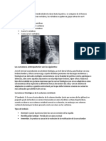 Columna Vertebral