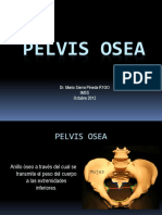 Pelvis Ósea