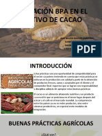 Aplicación Bpa en El Cultivo de Cacao