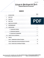 Modelo para hacer un informe psicologico.pdf
