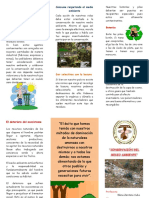 Triptico Conservacion Del Medio Ambiente