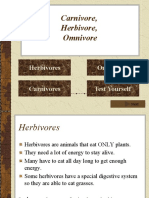 Carnivore, Herbivore, Omnivore: Herbivores Carnivores Omnivores Test Yourself