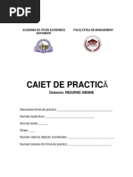 Caiet Practica Resurse Umane