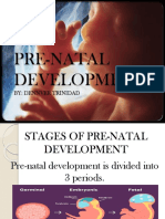 Pre-natal Development Stages