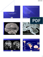 236877865-090712-NEUROANATOMIA.pdf