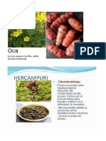 Plantas y Animales Nativos de Peru
