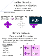 Mendelian Genetics: Dominant & Recessive Review: Genotype: PP Genotype: PP Genotype: PP