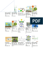 Photosynthesis Photosynthesis Photosynthes Photosynthesis