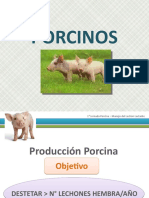 1527710580.clinic Porcinos