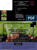 Presentacion Vegetal