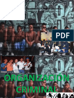 Organizacion Criminal Diapositivas