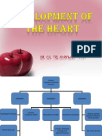 Development of The Heart - Oke