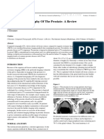 Computed Tomography of The Prostate-A Review: J Gossner