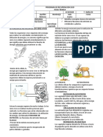 Funciones de Nutricion Federico Villarreal