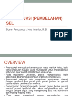 Reproduksi SEL