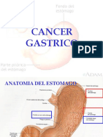 C3 Cancer Gastrico Modificado