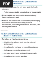 Cell Membrane Structure and Function