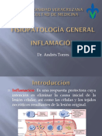 Inflamación