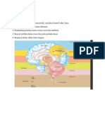 Fungsi Hipothalamus-1