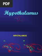 Anabolic Steroid Guide Part 2 Pdf Testosterone Luteinizing Hormone