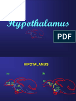 3 Hypothalamus