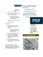 Chapter 5c- Fibers 