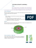 Types of Cells (Plant & Animal)