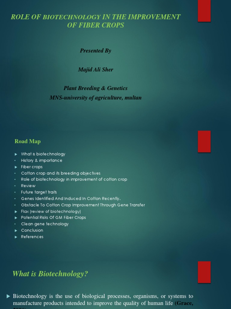 Role of Biotechnology in Agriculture | PDF | Genetic Engineering ...