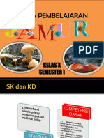 Jamur: Ciri, Klasifikasi, dan Peran