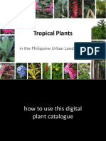 Tropical Plants: in The Philippine Urban Landscapes