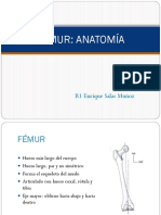 Anatomia de Femur