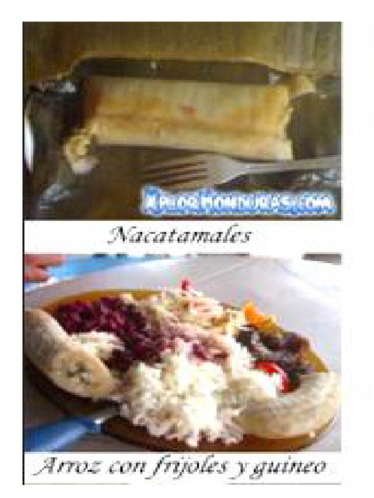 Comida Típica de los Pech en Honduras | PDF