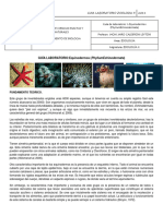 311130024-Guia-de-Laboratorio-1-Equinodermos-2.pdf