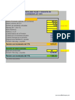 Simulador de Pensiones 2010