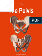 6d The Pelvis Ebook