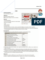 7º Ano Turma: Disciplina de Ciências Naturais Outubro /2019