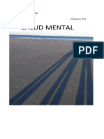 Revista-de-Salud-Mental-Meditatio.pdf