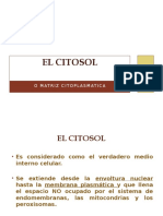 POWER_EL_CITOSOL.pptx