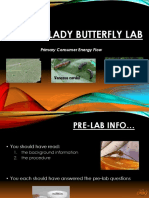 APES Lady Butterfly Lab