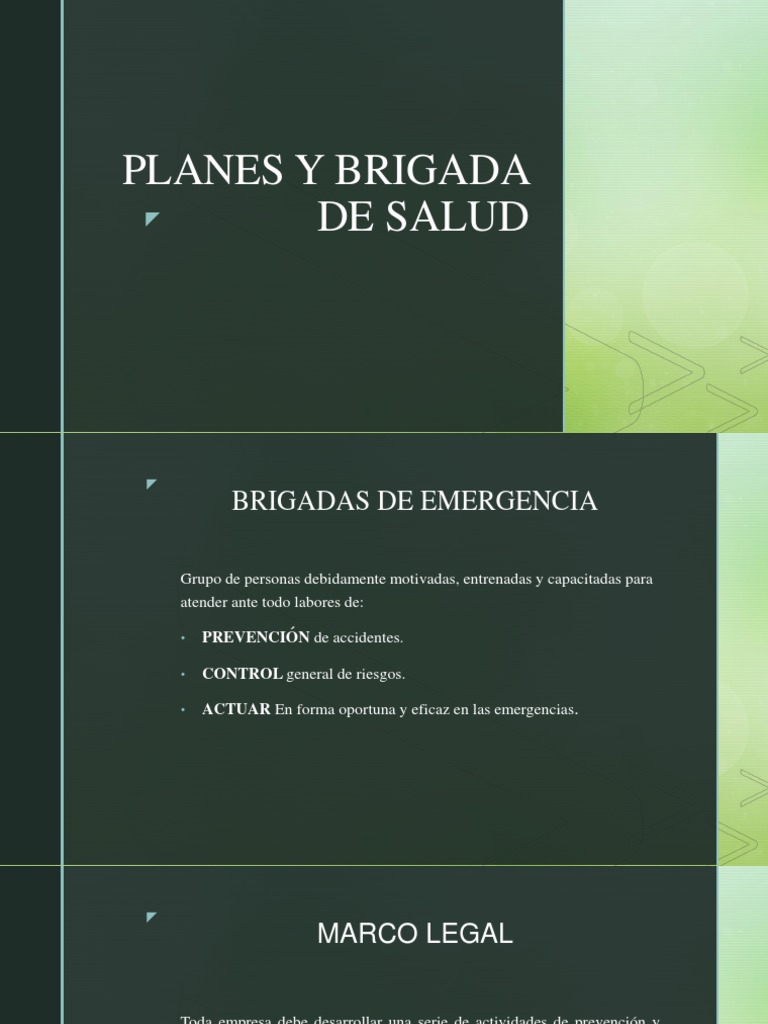 Planes y Brigadas de Emergencia Laboral | PDF | Seguridad y salud ...