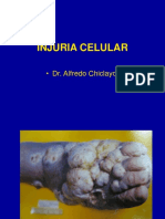 Clase - Injuria celular.pptx