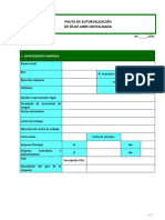 Pauta de Autoevaluacion de Silice PDF