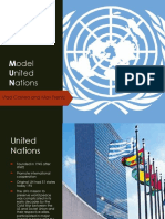 Model United Nations: Vlad Costea and Max Frentz