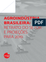 Agroindústria Brasileira_Retrato Do Setor e Projeções Para 2019