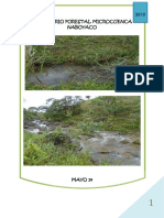Informe de Inventario Forestal
