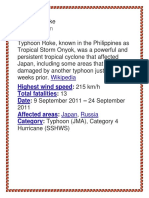 2011 Typhoon: Description
