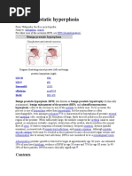 Download Bph by Ailene Guzman Gacita SN43064928 doc pdf