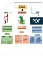 Determinantes Del Mercado