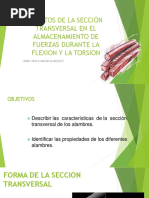 Efectos de La Sección Transversal en El Almacenamiento